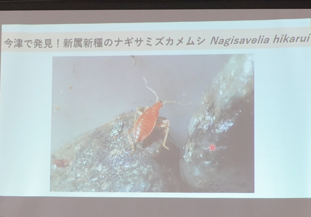 今津のいきものたち～足元の生物多様性～｜新着情報｜医療法人永寿会